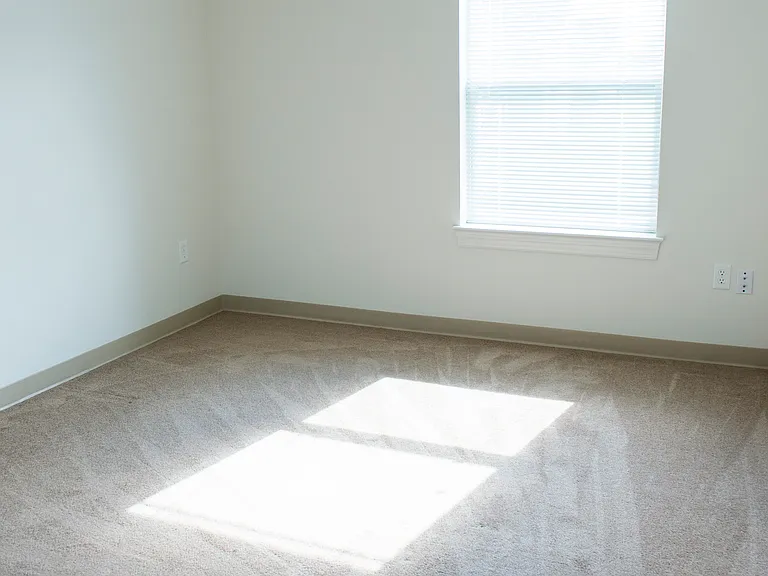 Sunset Court — Photo 11