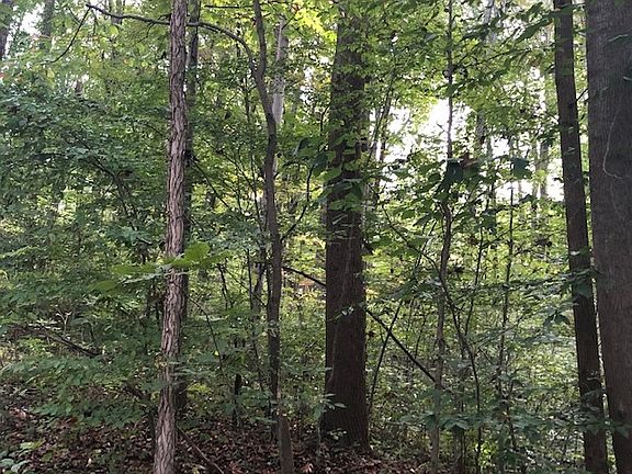 5th image of 5796 S Wild Willow Dr
