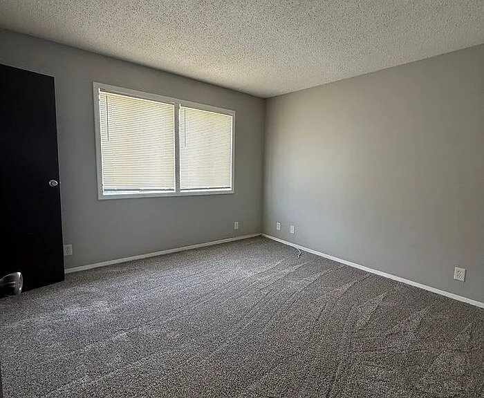 1029 Harold Dr — Photo 19