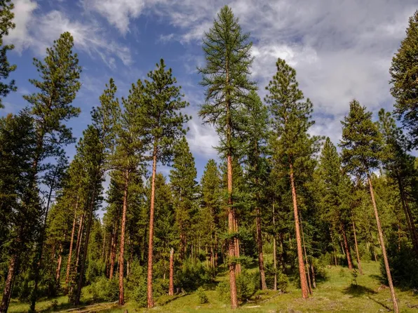 Nhn Keystone Gulch Parcel C, Superior, MT 59872