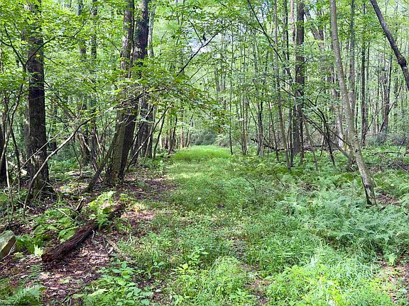 3rd image of 1261 Beaver Creek Dr