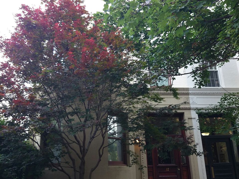 2nd image of 17 Blackwood St APT 4