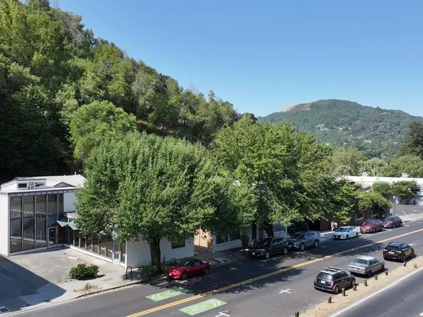 128 Greenfield Ave, San Anselmo, CA 94960