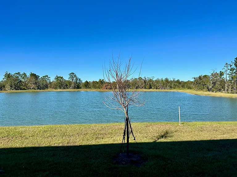 5679 English Oak Ln — Photo 52