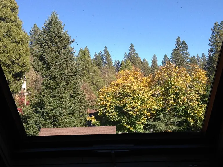 View from upstairs bedroom skylights