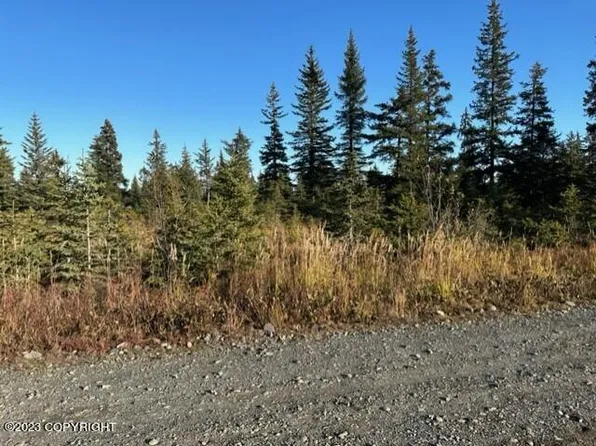 31600 Whiskey Gulch St, Anchor Point, AK 99556