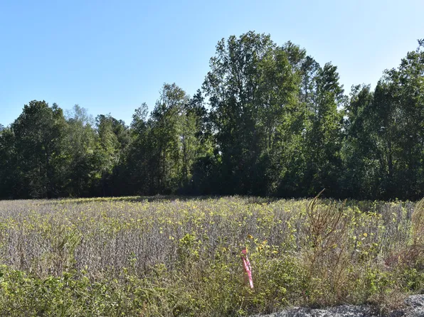 0 Murdock Rd, Manning, SC 29102