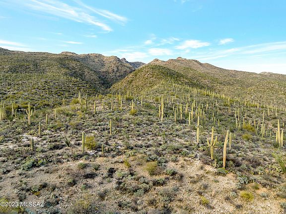 4th image of 10632 N Gibbon Canyon Pl
