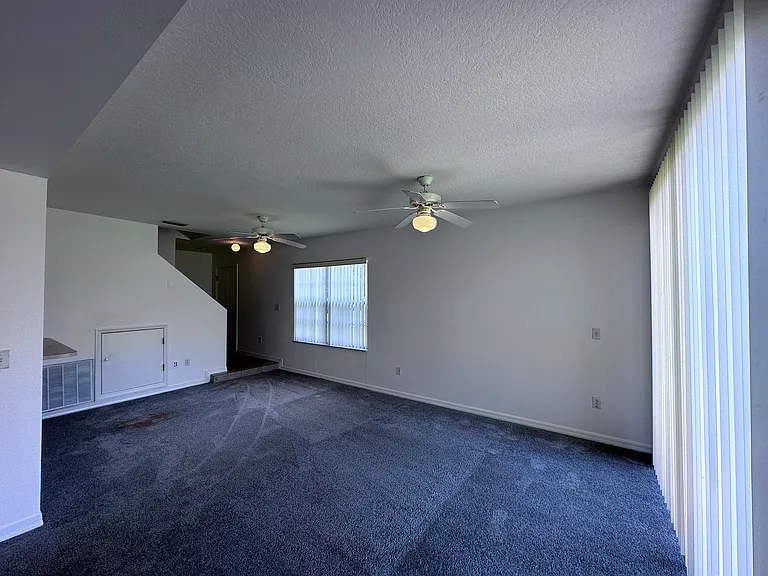 307 Coconut Palm Way — Photo 6