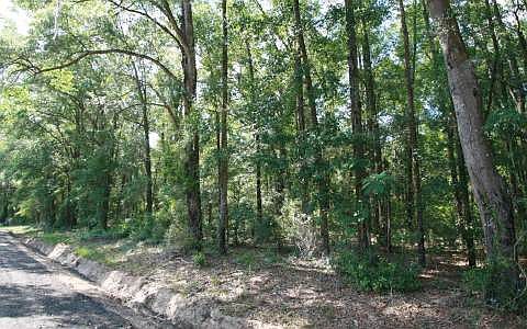1st image of Nw Tiger Drain Road