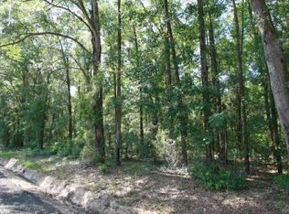 Nw Tiger Drain Road, White Springs, FL 32096