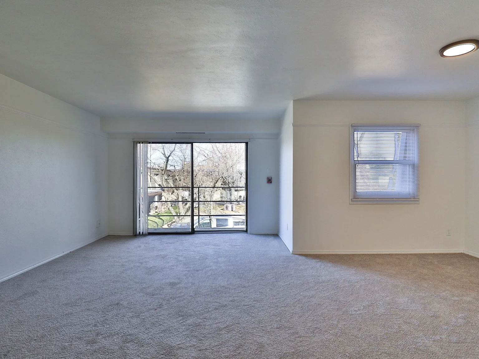 Crow's Nest Apartments — Photo 4