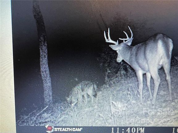 2nd image of 2756 Turkey Hen Mountain Ln