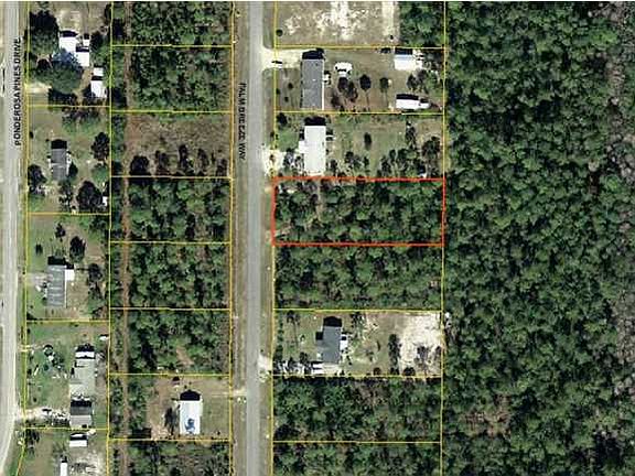 5th image of 134 Palm Breeze Way