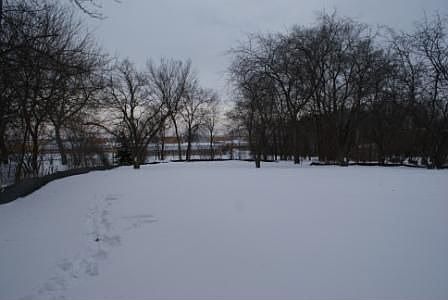 Large backyard with mature trees