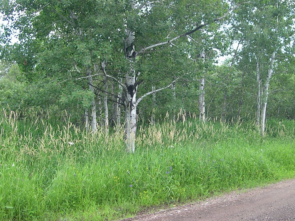 2nd image of E Ave. S. South Of Ditch Side 5th