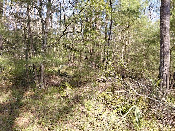 2nd image of 2 & 3 Gator Cv