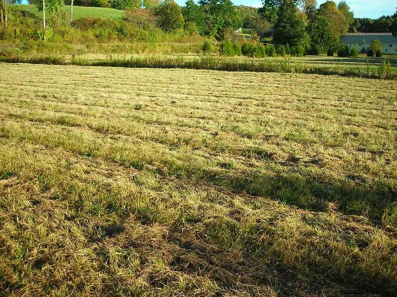 5th image of 0 PINE VALLEY Road