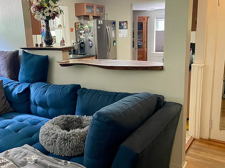The kitchen looks into the living area.