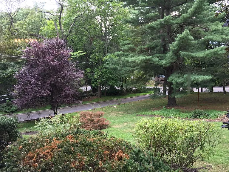 58 Quakerbridge Rd — Photo 9