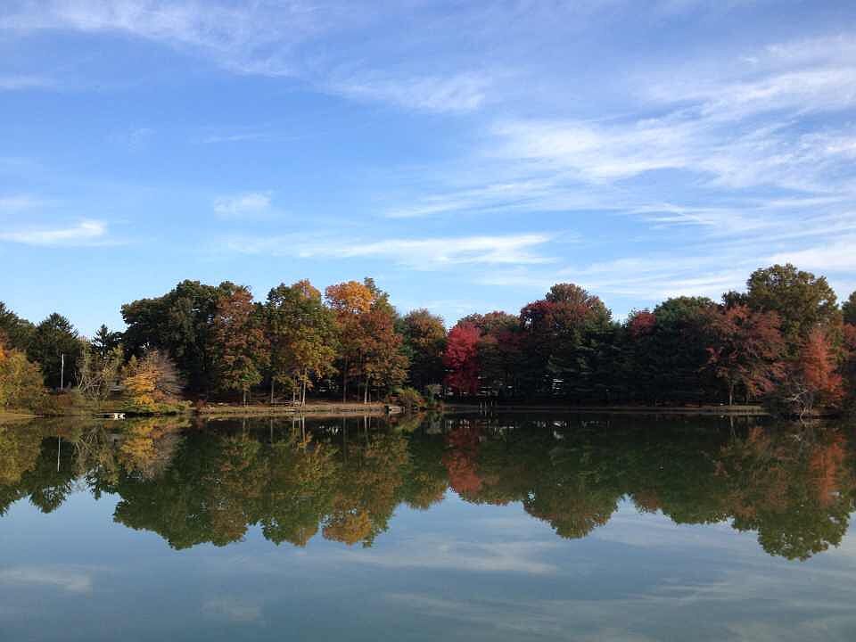 Tranquil view of the lake 