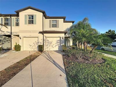 3942 Wild Senna Blvd, Tampa, FL, 33619