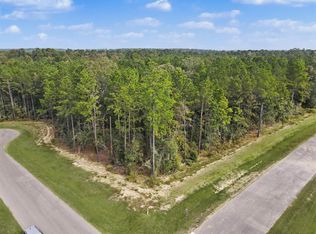 25210 Chisos Bnd, Montgomery, TX 77316