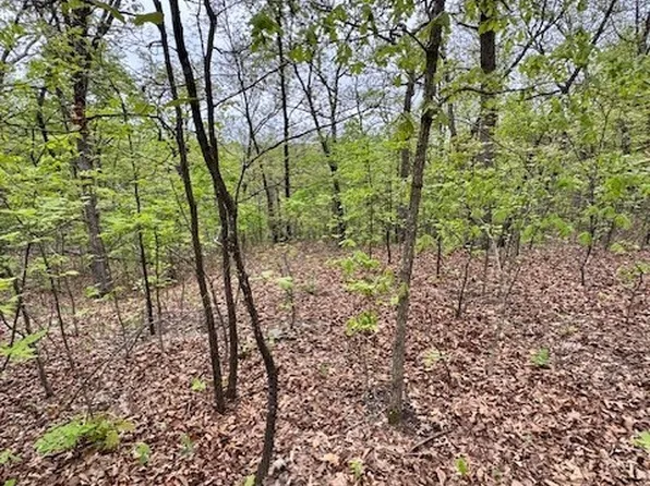 2 Side Kick Dr, Camdenton, MO 65020