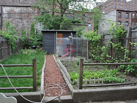 5th image of 127 Clifton Pl #3