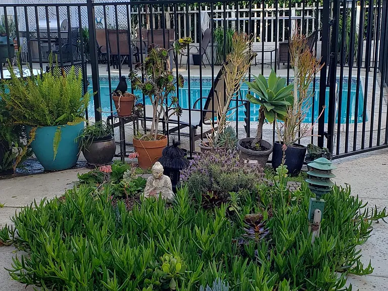 3448 Sawtelle Blvd #8 — Photo 15