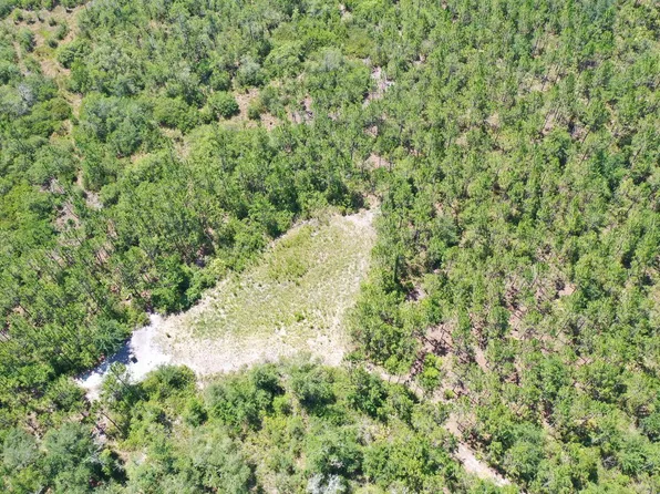 0 SW Pine Lake Rd, Lee, FL 32059