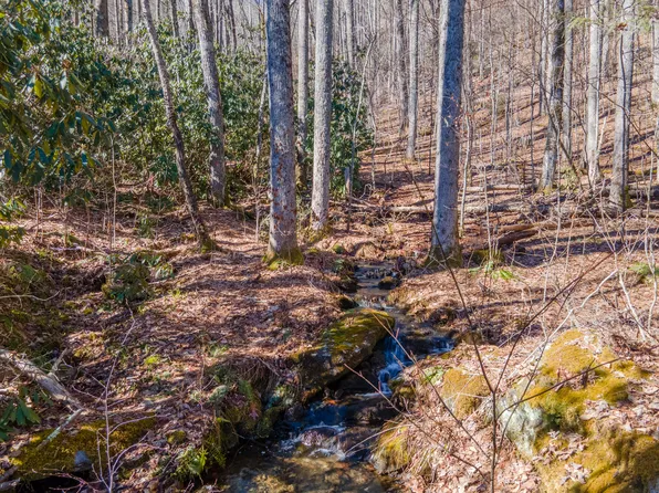 7 GlenCove Drive, Cashiers, NC 28717