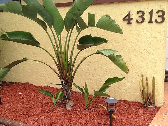 4th image of 4313 NW 6th Ave