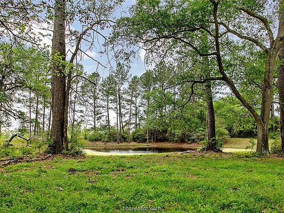 5th image of 11702 County Road 304