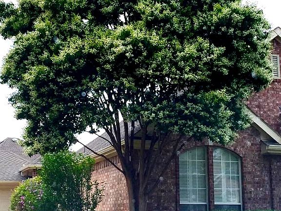 3rd image of 2519 Sir Percival Ln
