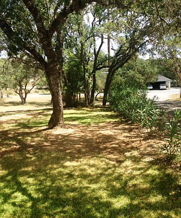 3rd image of 128 Creekview Dr