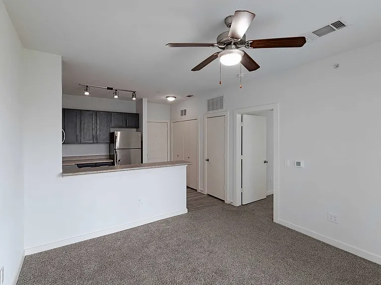 The District At Cypress Waters - Parson's Green — Photo 286