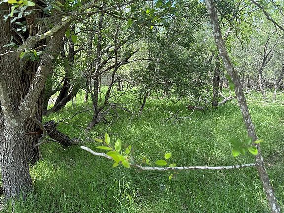 3rd image of LOT 200 Nene Ln