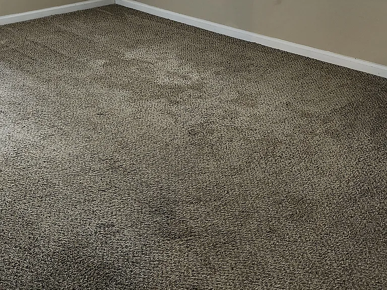 Carpeted bedroom