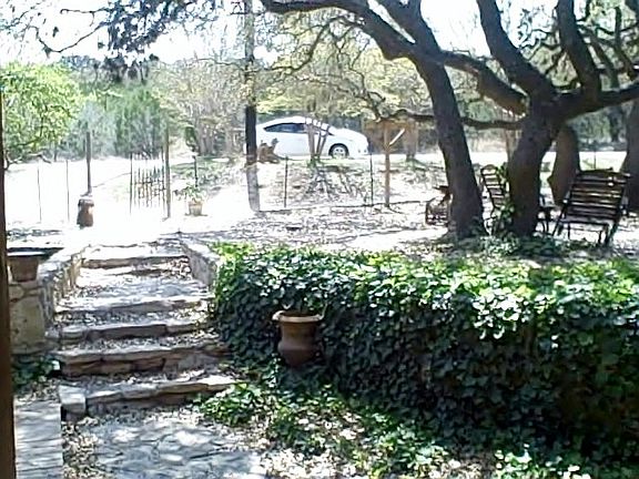 2nd image of 681 Appaloosa Dr