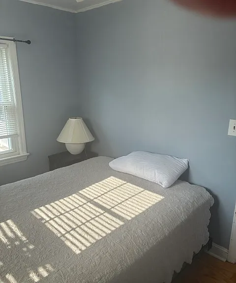 217 Garfield Ln — Photo 3