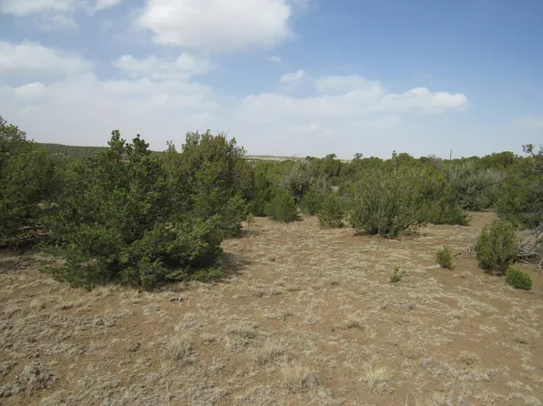 LOT 908 Los Vaqueros Cir, Walsenburg, CO 81089