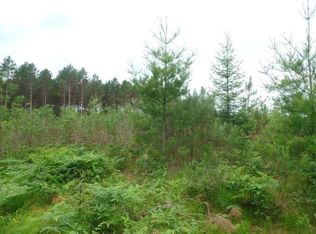 ON Jenny Lake Rd, --, WI 54487