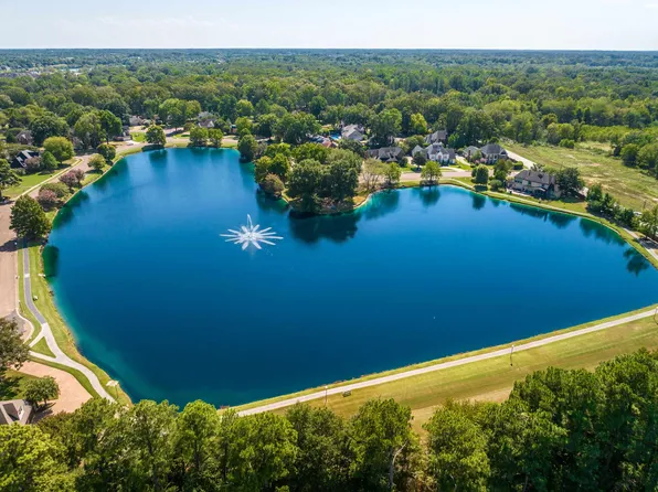 1196 E Lake Pointe Dr, Collierville, TN 38017