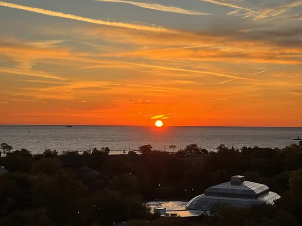 The Nest at Lincoln Park West