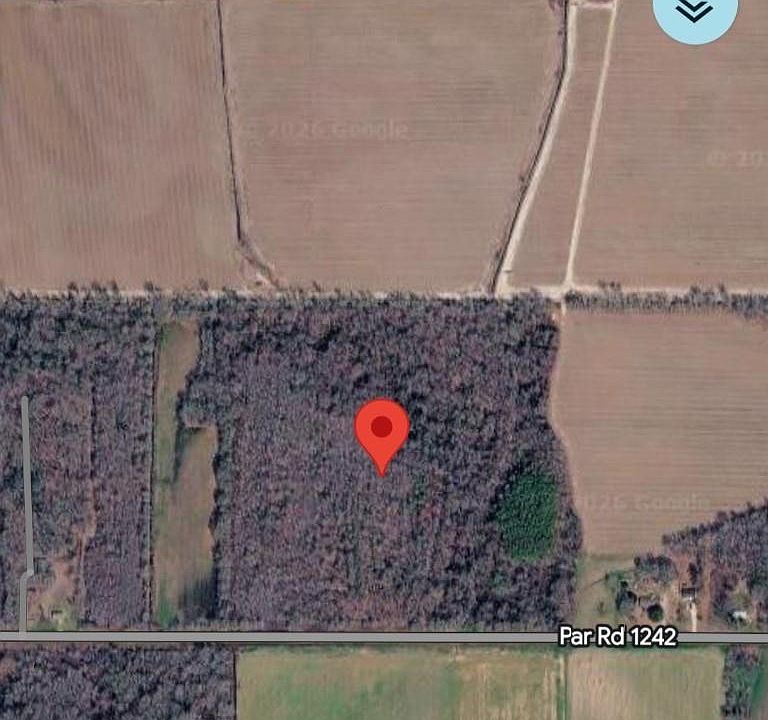 2nd image of 0 Parish Line Rd