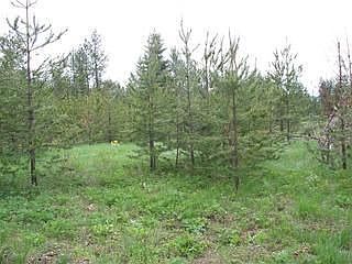 2nd image of 26997 N Warren Rd