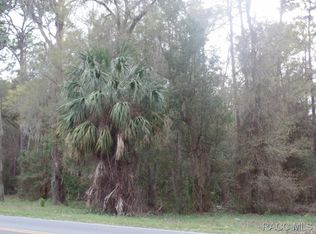 653 S Apopka Ave, Inverness, FL 34452