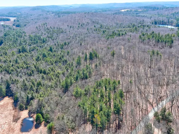 0 W Center Rd, Otis, MA 01253