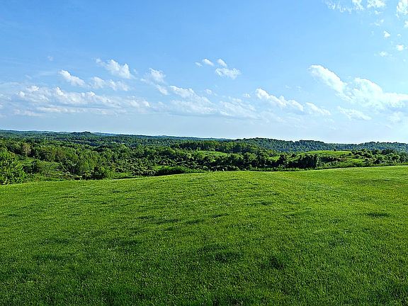 View from Back Patio